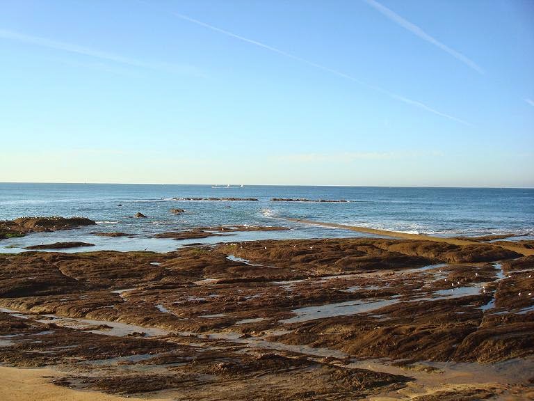 Roches noires sables d'olonne